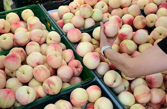 서울 서초구 하나로마트 양재점에서 시민들이 과일을 고르고 있다. 이상섭 기자
