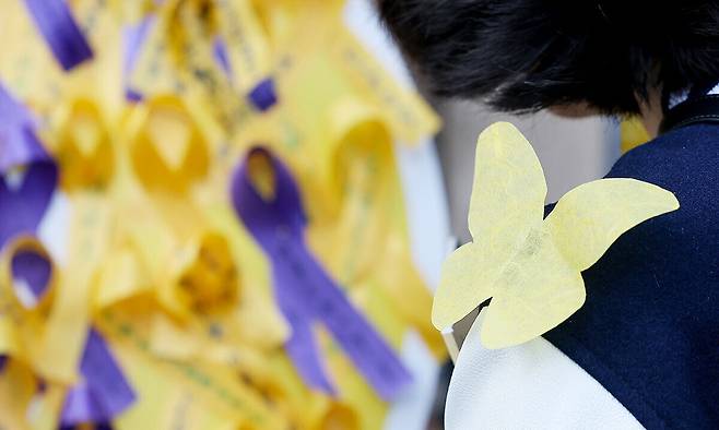 서울 중구 숭례문 인근에서 열린 4·16 세월호 참사 12주기 기억·약속 시민대회에서 한 시민이 어깨에 나비 모양 종이를 달고 추모 메시지가 적힌 리본을 살펴보고 있다. 연합뉴스