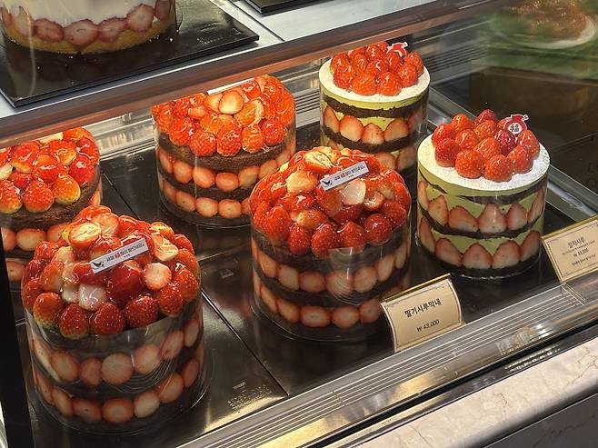 성심당 케익부띠끄 매장에 케이크 종류(시루 시리즈)가 진열돼 있다. 김수호 기자