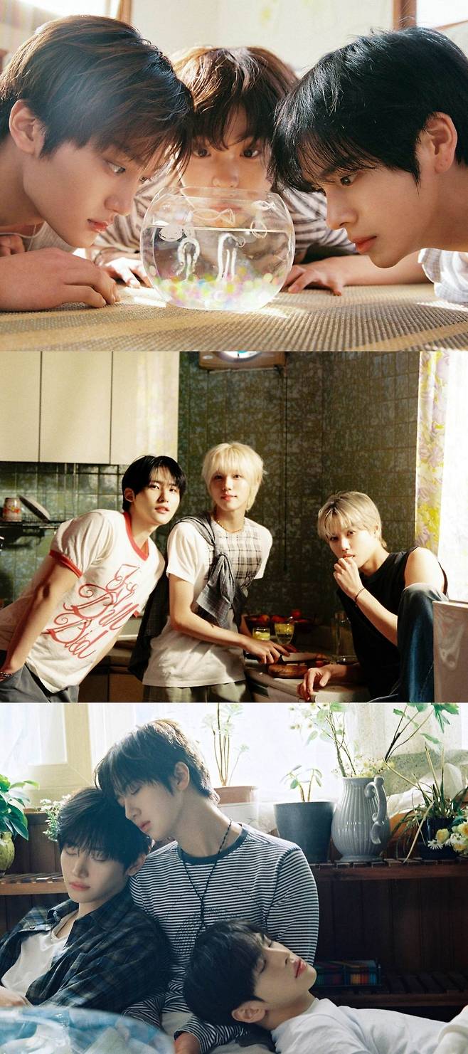 스타쉽엔터테인먼