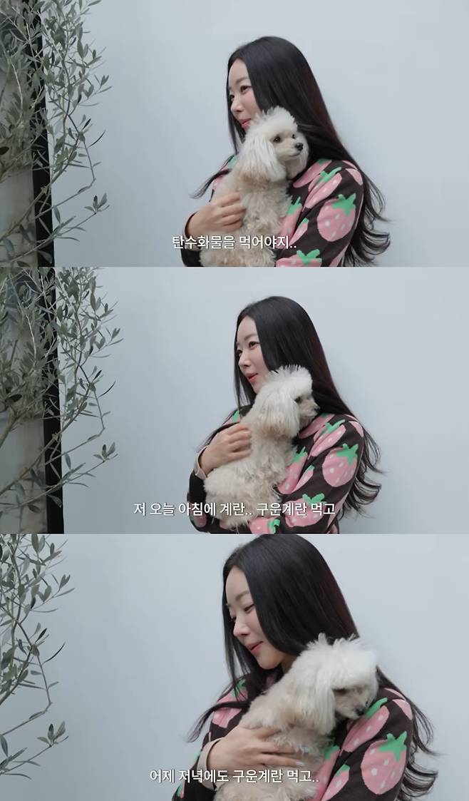 유튜브 '김사랑'