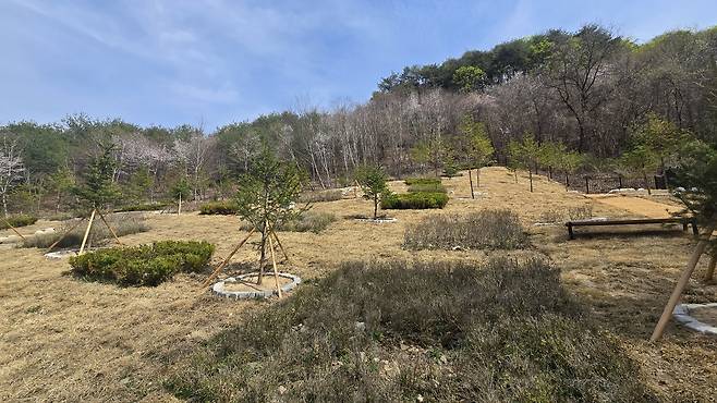 추모 공원 내 산분장지 [홍천군 제공. 재판매 및 DB 금지]