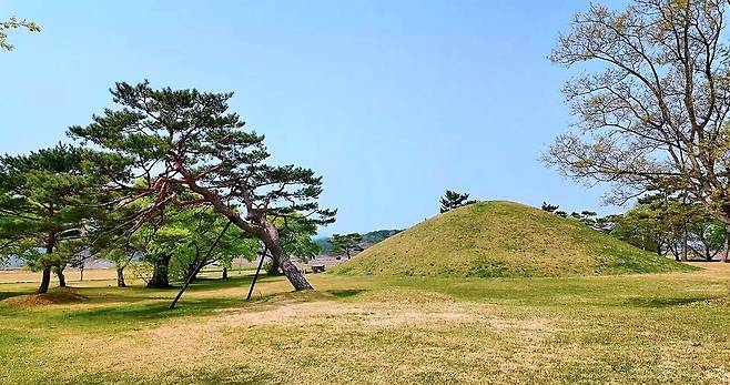 선덕여왕길을 따라 만나는 진평왕릉. 신라 제26대 국왕의 능으로 사적지로 지정돼 있다.