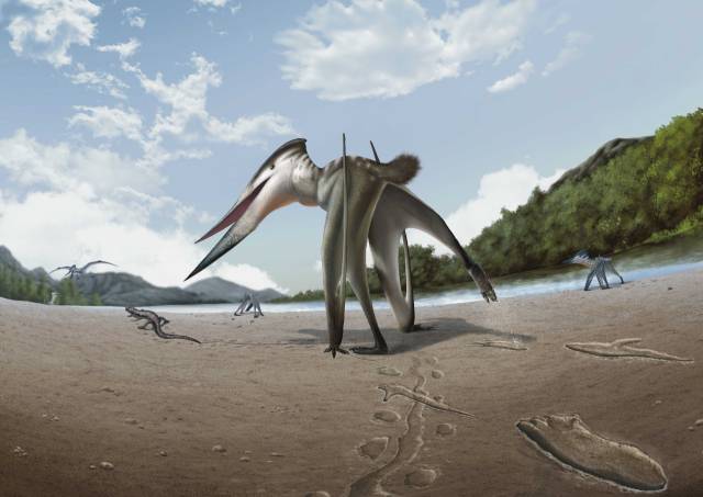 진주 익룡 복원도. 김경수 교수 제공