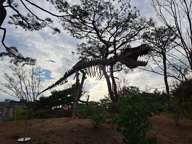 경북도청을 등지고 올려다 본 공룡 화석 설치물. 문정화 기자 moonjh@idaegu.com