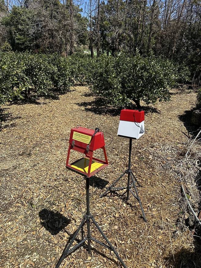 디지털트랩 / 사진=제주도