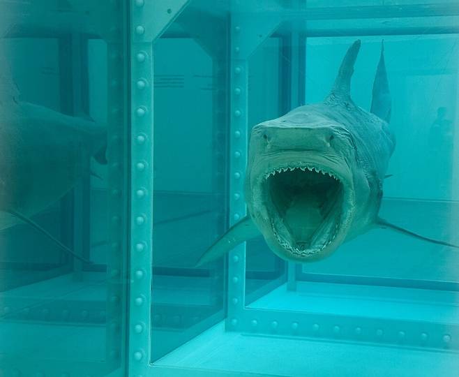 포르말린 수조 속 뱀상어(Tiger Shark). (사진 곽은영 기자)/뉴스펭귄