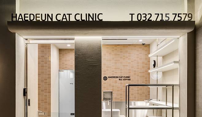 부천 해든동물메디컬센터는 고양이센터를 별도로 분리해 운영하고 있다(병원 제공). ⓒ 뉴스1
