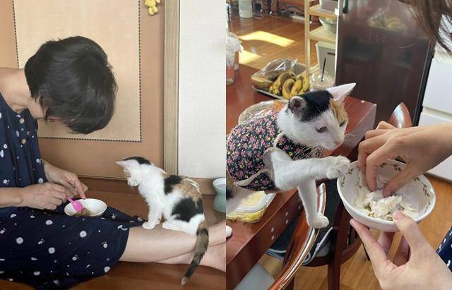 어릴 때부터 지금까지 어머니가 직접 챙겨준 음식! 보호자 제공