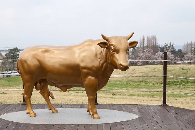 서산한우목장은 우수한 씨수소의 정액을 생산해서 전국으로 유통한다. 산책로 입구에 있는 소 동상. 최승표 기자