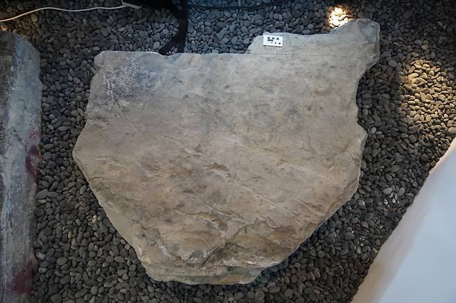 진주익룡발자국전시관에 전시된 익룡 및 소형 동물 발자국 표본. 진주교대 제공