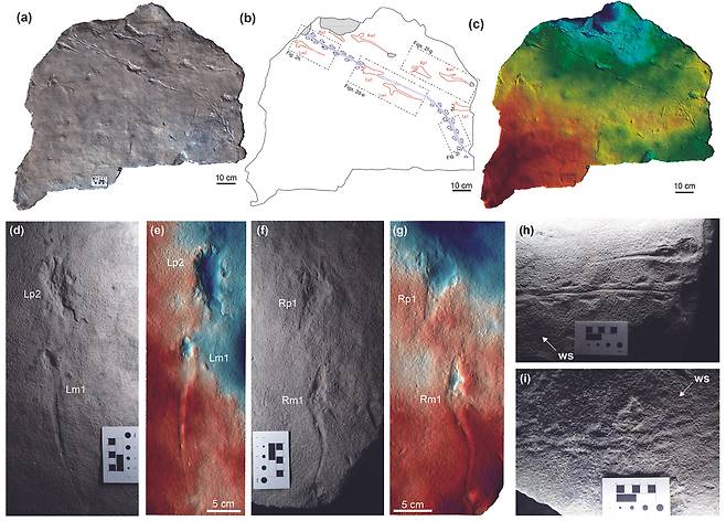 익룡과 소형 동물 발자국의 분포도와 3차원 이미지. 진주교대 제공