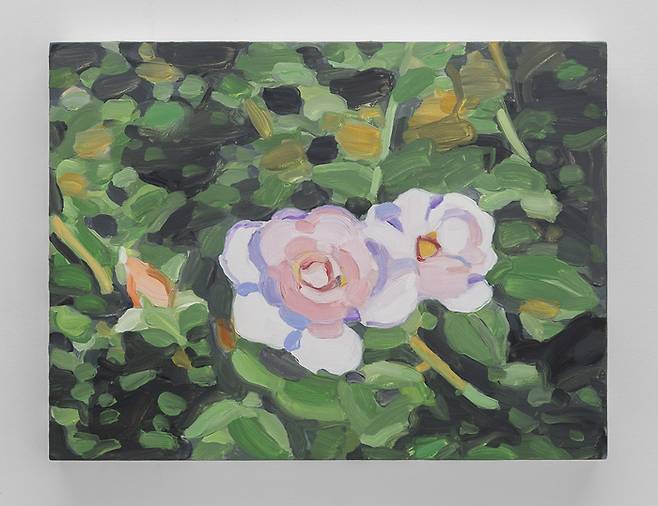 모린 갈라스의 ‘Pink Roses, Dark’(2024) <글래드스톤>