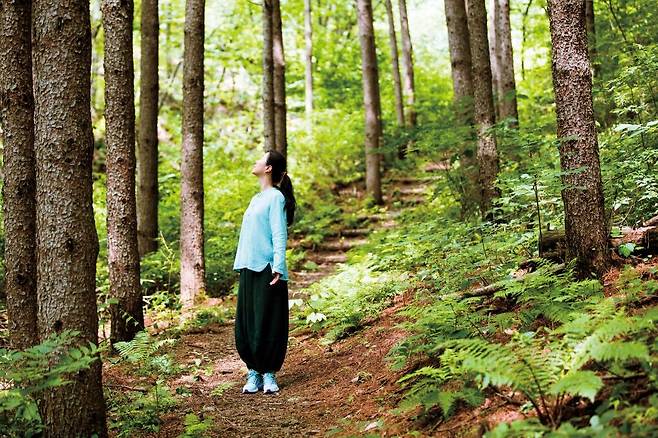 치유의 숲 종자산을 거닐며 자연과 호흡하는 ‘숲 테라피’