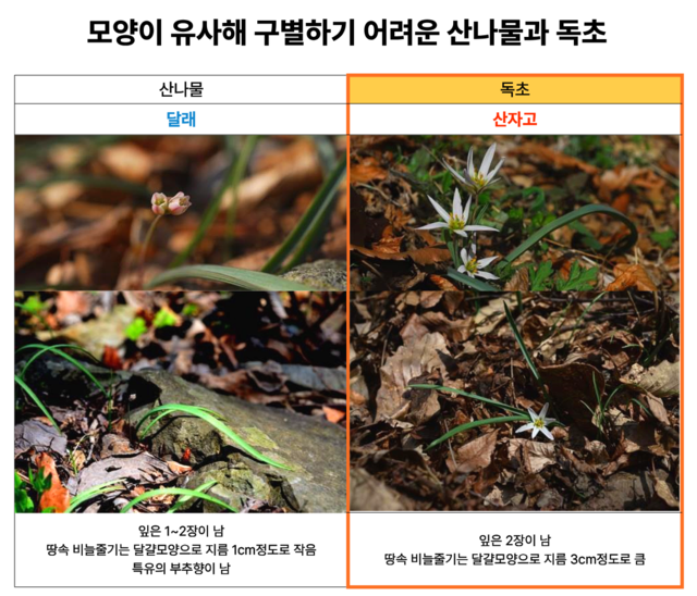 식품의약품안전처·산림청 국립수목원