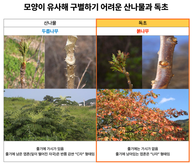 식품의약품안전처·산림청 국립수목원