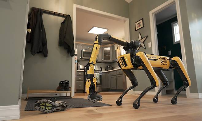 스팟이 바닥에 널브러진 신발을 집어 올리고 있는 모습. 현대차그룹 제공