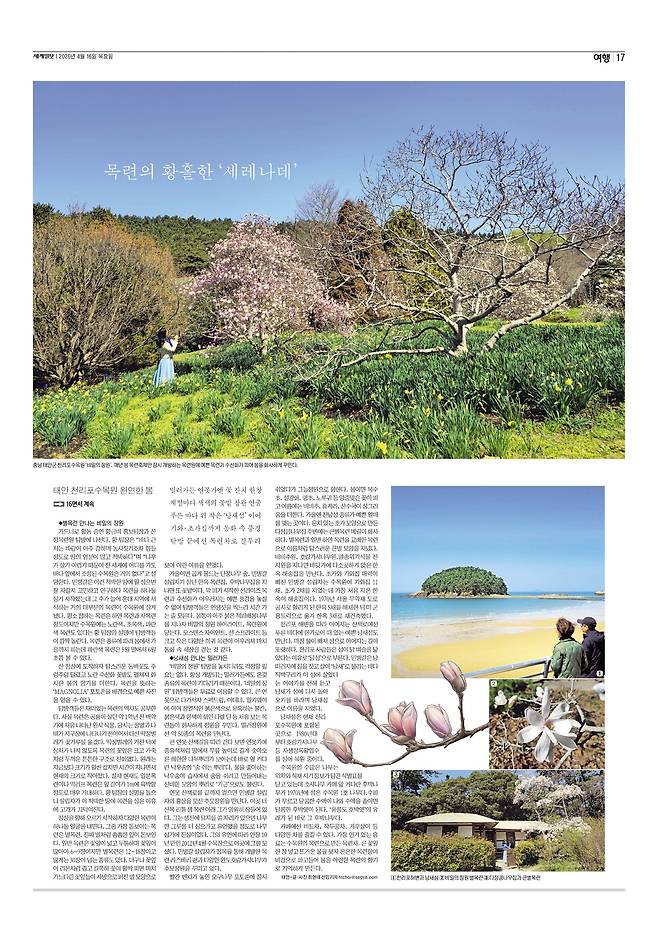 세계일보 여행면. 편집=김소연 기자