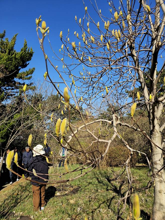 비밀의 정원 탐방.