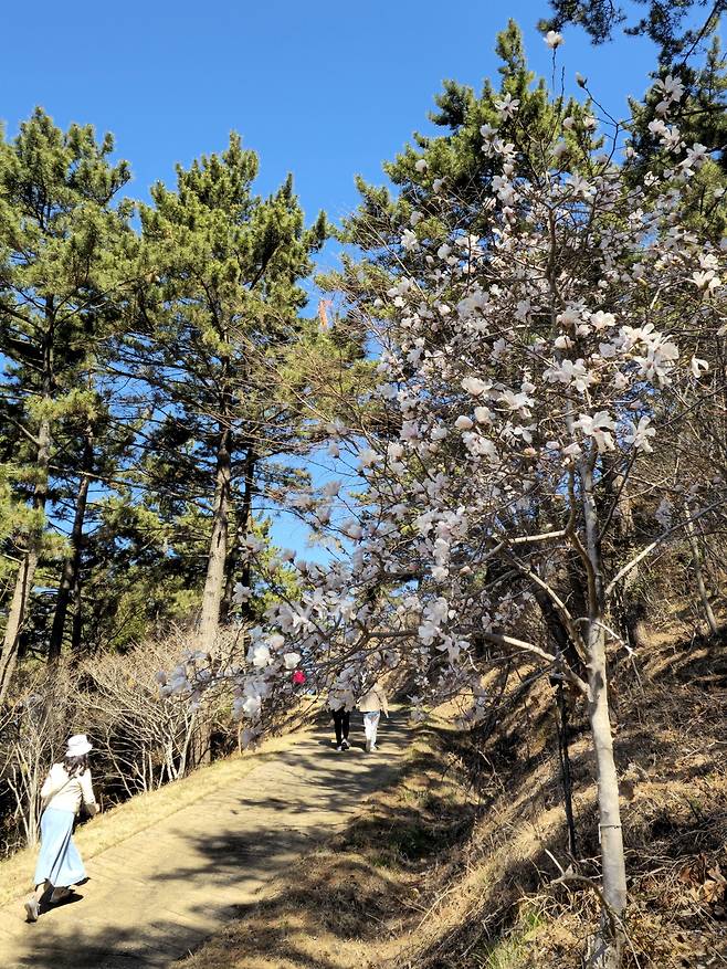 비밀의 정원 탐방.