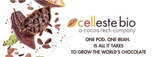 셀레스테 바이오 로고  [회사 웹사이트 캡처. 재판매 및 DB 금지]