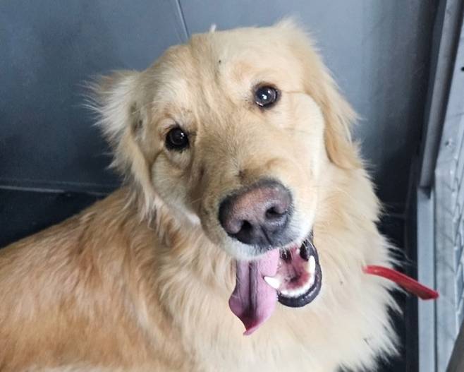 기사의 이해를 돕기 위한 사진. 사진=안성시청&nbsp;