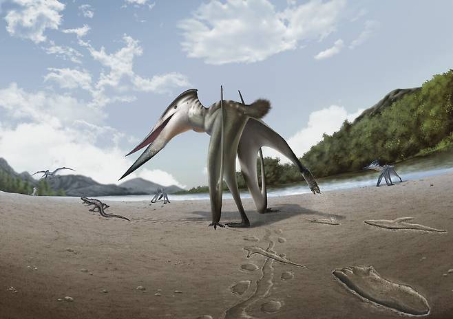 진주에서 발견된 백악기 익룡의 육상 사냥 행동 흔적 복원도. /국립대구과학관 제공