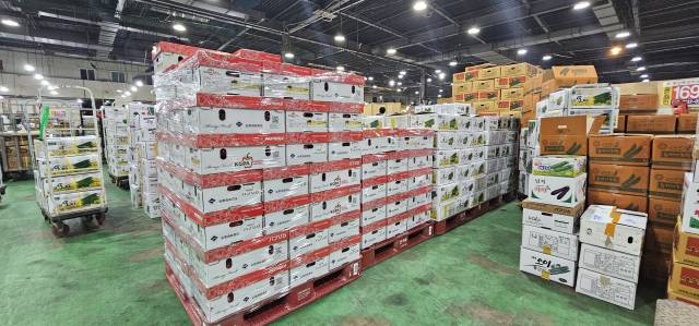 지난 10일 새벽 부산 반여농산물도매시장에서 경매 대기 중인 파프리카와 오이. 김한수 기자 hangang@