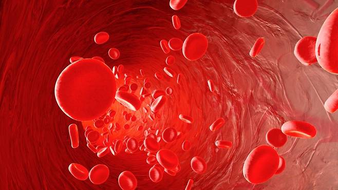 적절한 영양소 보충과 유산소 운동은 혈액 순환 관리에 도움이 될 수 있다｜출처: 클립아트코리아