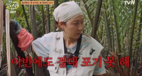 언니네 산지직송 칼라페 출연진