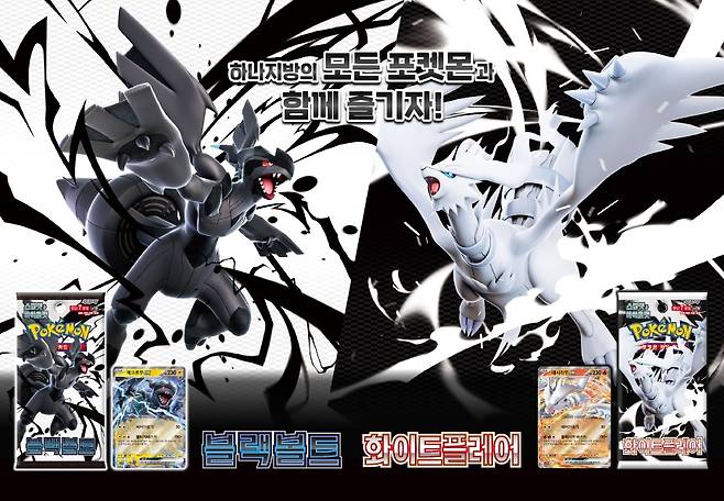 (포켓몬코리아 누리집 갈무리)