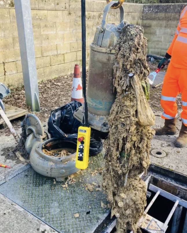 사진출처=더 선