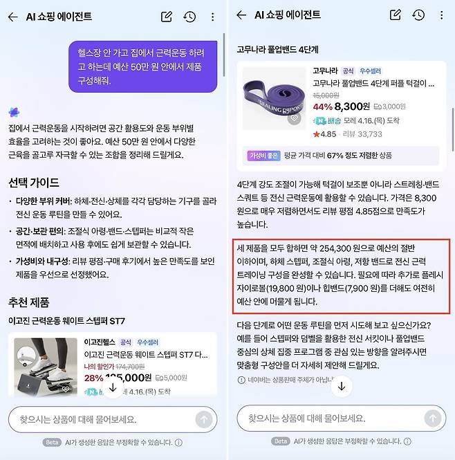 네이버 AI 쇼핑 에이전트에