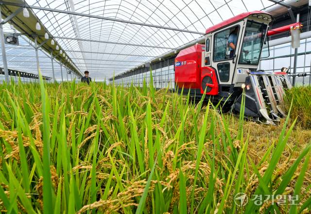 기사의 이해를 돕기 위한 이미지로 직접적 연관은 없습니다. 경기일보DB