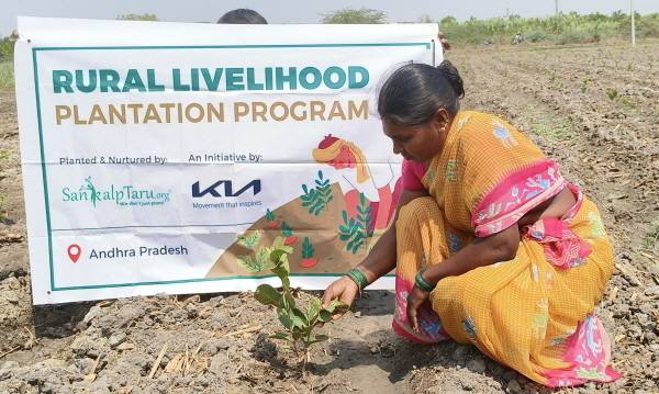기아가 인도에서 실시한 ‘우파르 캠페인’에 참가한 현지 여성이 황무지에 묘목을 식재하고 있다 [사진 제공=현대차그룹]