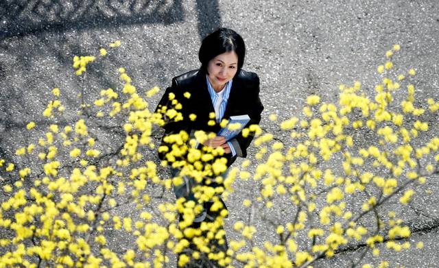 등단 30주년을 맞은 올해 “어느 때보다 소설 쓰기가 재미있다”며 새 장편을 준비 중이라는 조경란 작가. 작가가 지난달 26일 서울 중구 문화일보 인근에서 따뜻한 봄을 알리는 산수유 꽃을 바라보고 있다.   윤성호 기자