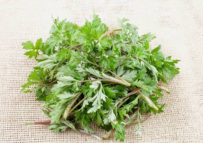 봄철 대표 나물인 쑥은 채취 환경에 따라 섭취 시 주의가 필요하다. 사진=클립아트코리아