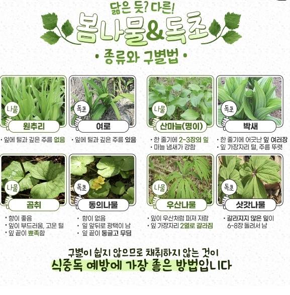 사진=식약처 제공