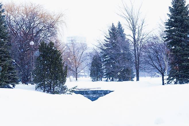 나카지마 공원 안에는 콘서트홀과 홋카이도립문학관, 메이지정부 당시 호텔이던 호헤이칸도 있어 곳곳에 들를 곳이 많다