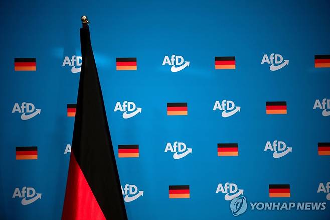 AfD [EPA 연합뉴스 자료사진. 재판매 및 DB 금지]