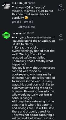늑구 포획에 대한 '자유'vs'보호' 댓글