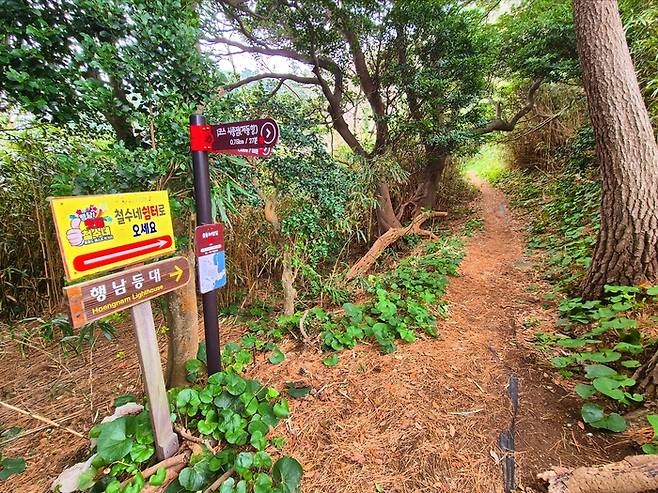 울릉도 저동항에서 행남등대로 가는 오솔길. 홍준기 기자.