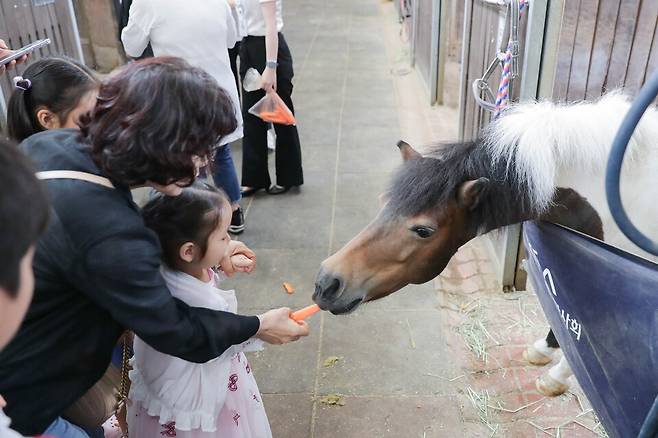 한국마사회 시크릿웨이 투어. /한국마사회 제공