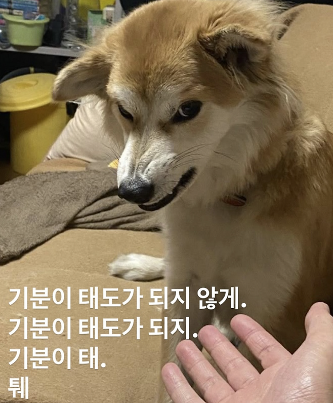 온라인에서 유행한 '기분이 태도가 되지 않게' 밈. 인스타그램