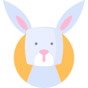 토끼띠. 자세히 알아보기