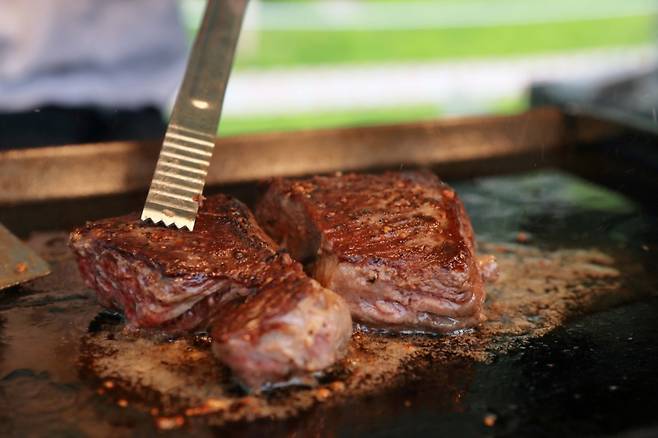 ▲ 스테이크 자료 이미지 [연합뉴스]