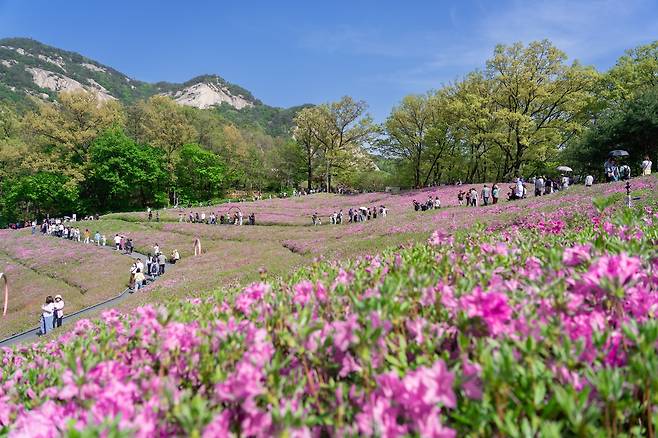 ‘2026 불암산 철쭉제’