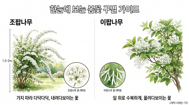 기사 내용을 바탕으로 생성한 이미지. 캔바·제미나이