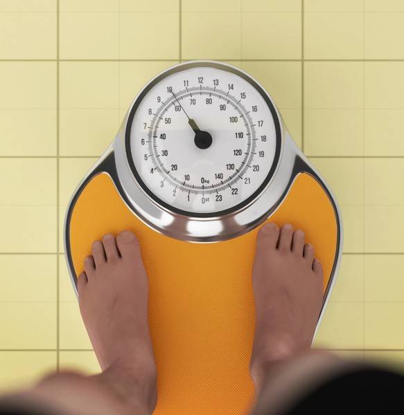 사진 게티이미지뱅크