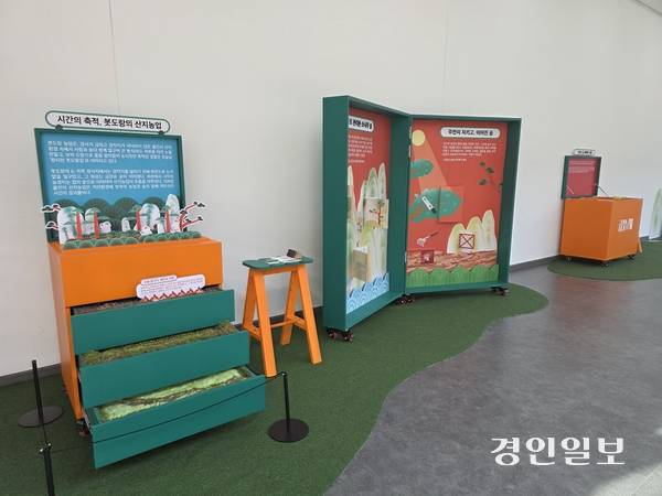 국립농업박물관 테마전 ‘금강송 곁에’ 전시 모습. 2026.4.17 /구민주기자 kumj@kyeongin.com